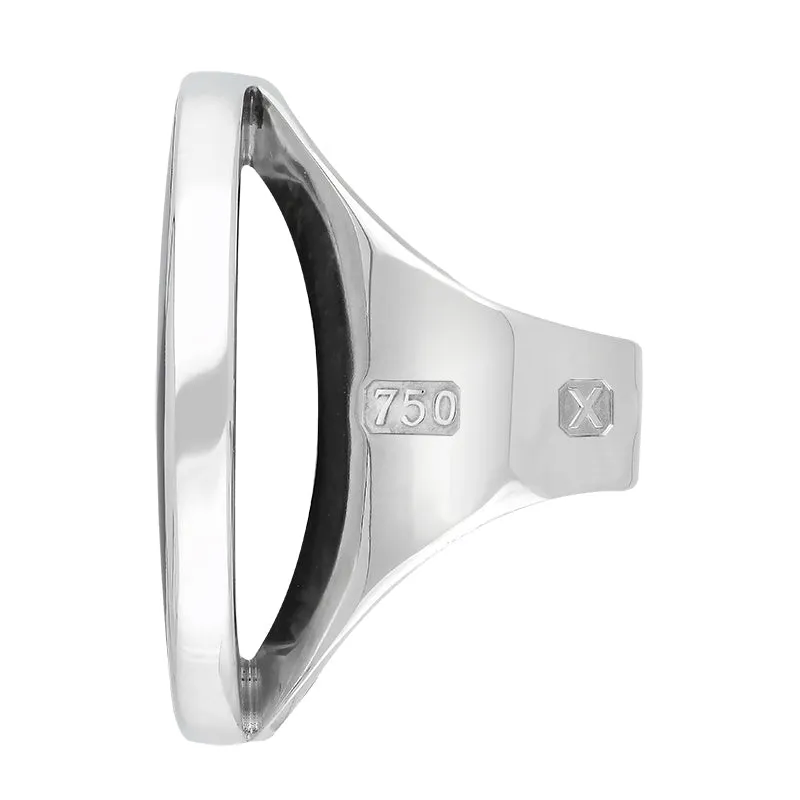 18ct White Gold Whitby Jet Hallmark Large Round Ring