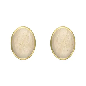 9ct Yellow Gold Coquina 8 x 6mm Classic Medium Oval Stud Earrings