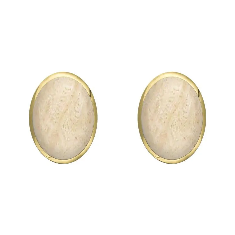 9ct Yellow Gold Coquina 8 x 6mm Classic Medium Oval Stud Earrings