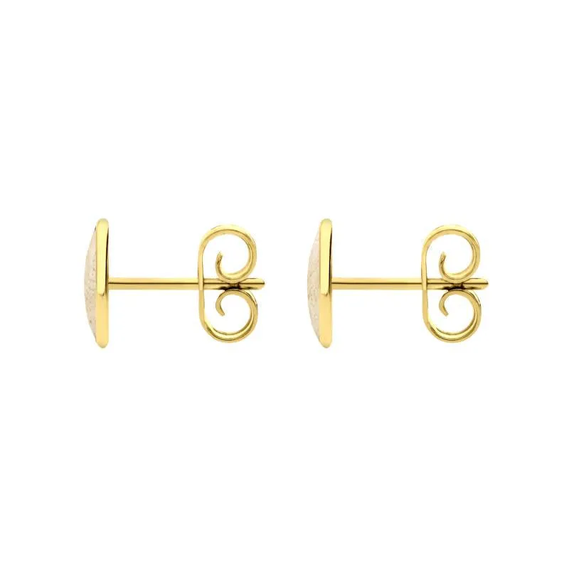 9ct Yellow Gold Coquina 8 x 6mm Classic Medium Oval Stud Earrings