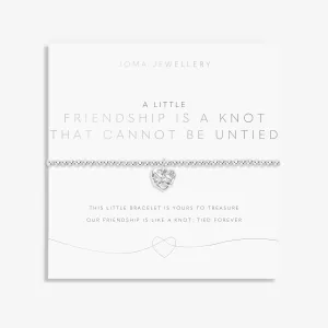 A Little Friendship Is A Knot that Cannot Be Untied Silver Plated Bracelet 8148