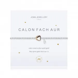 A Little Heart Of Gold Welsh Bracelet 876