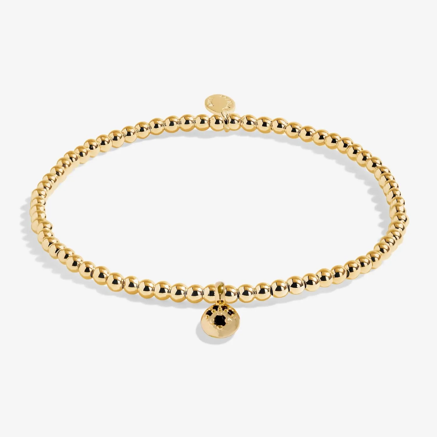 A Little Paw Print Gold Plated Bracelet 8216