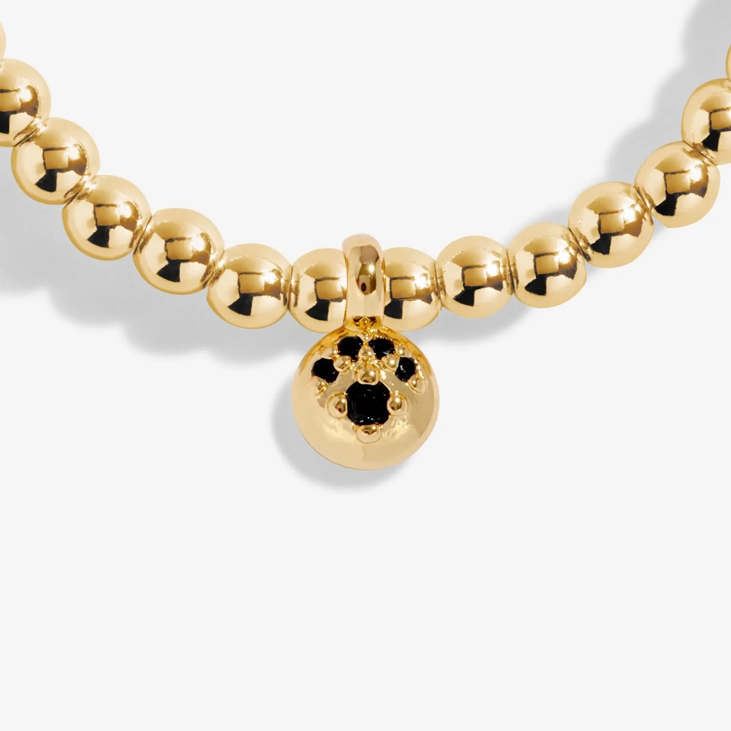 A Little Paw Print Gold Plated Bracelet 8216