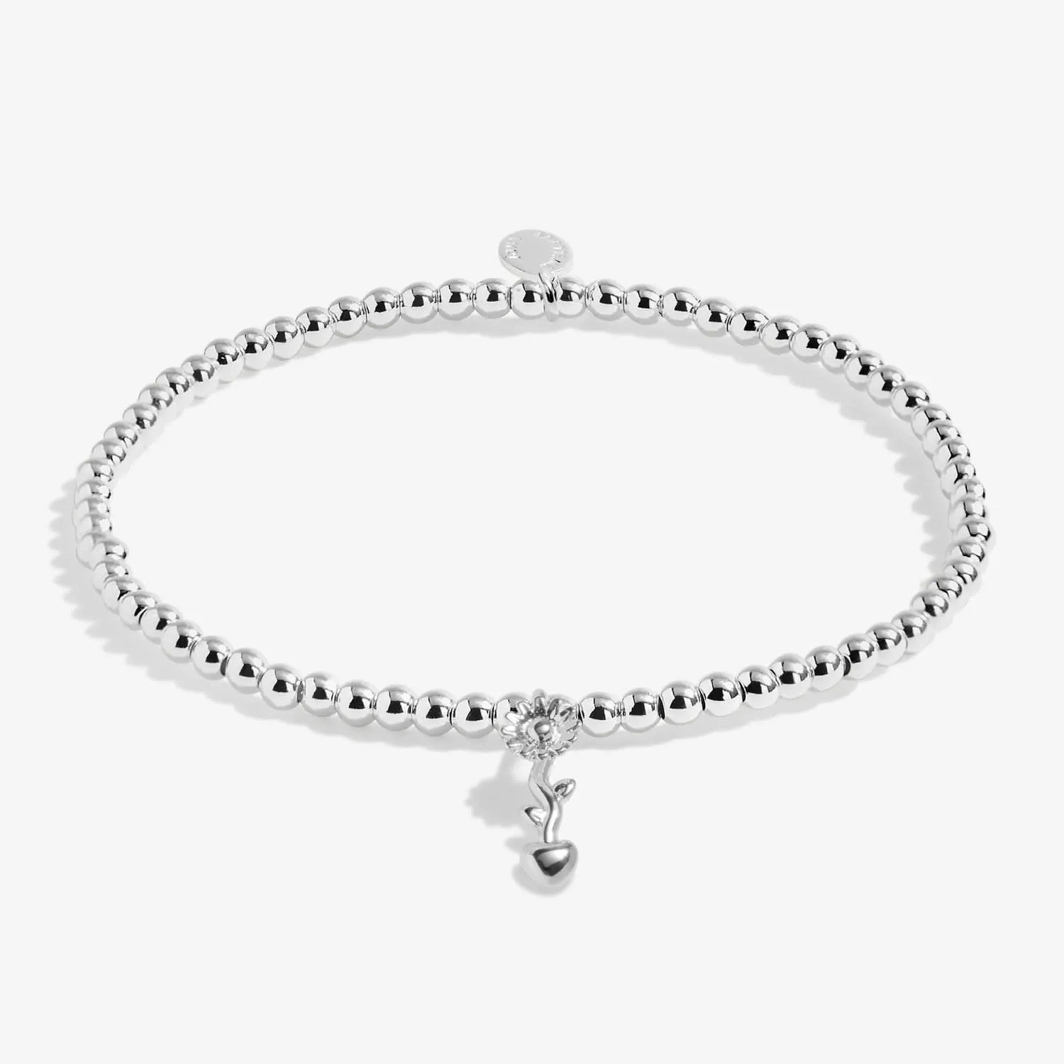 A Little Teachers Plant Seeds that Grow Forever Silver Plated Bracelet 8147