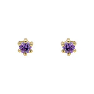 Beginnings Sterling Silver Purple Cubic Zirconia Amethyst Earrings E6468M