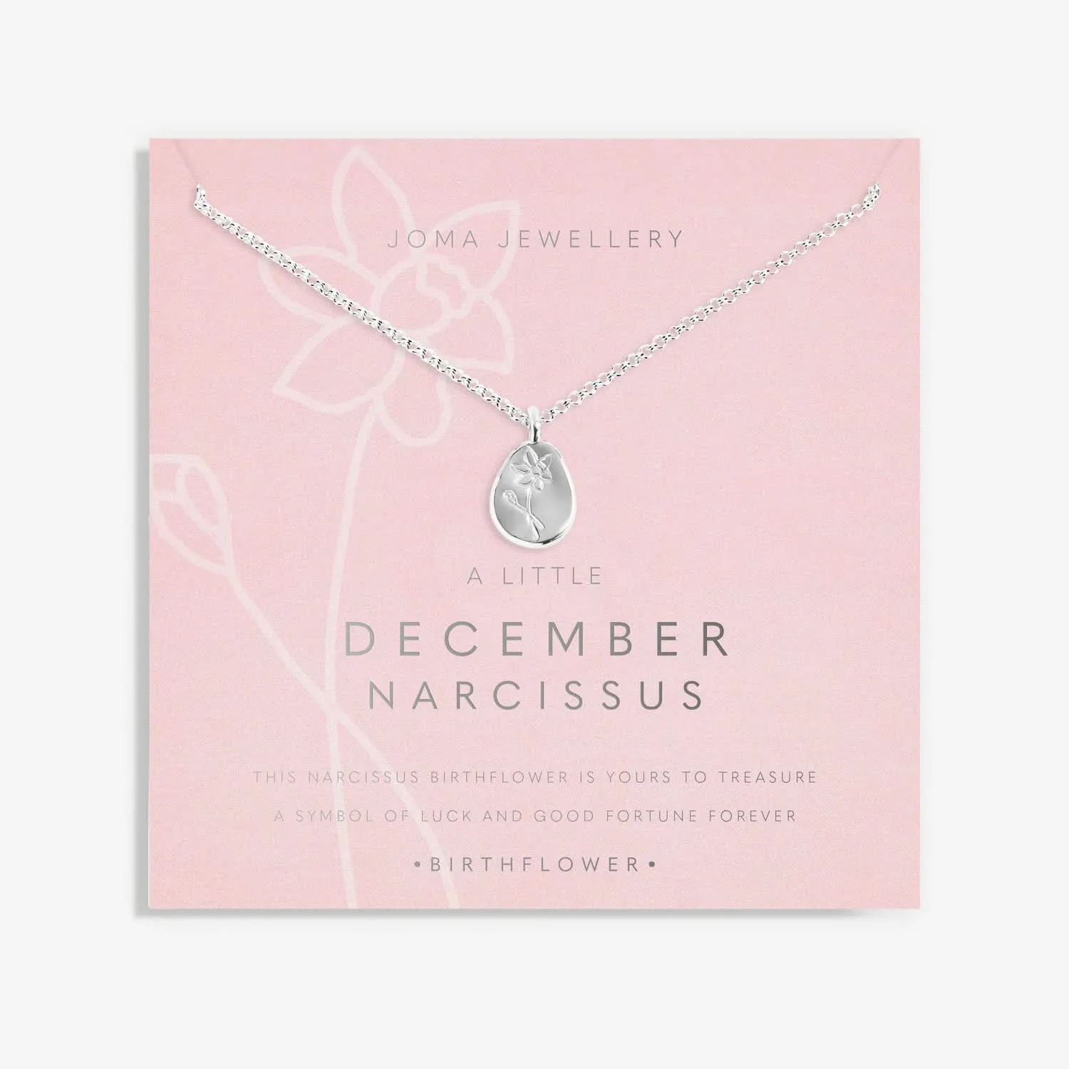 Birth Flower A Little December Narcissus Silver Plated Necklace 7470