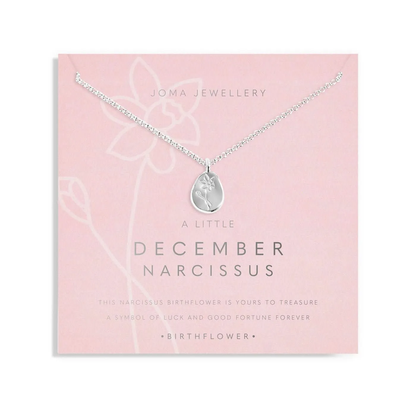 Birth Flower A Little December Narcissus Silver Plated Necklace 7470