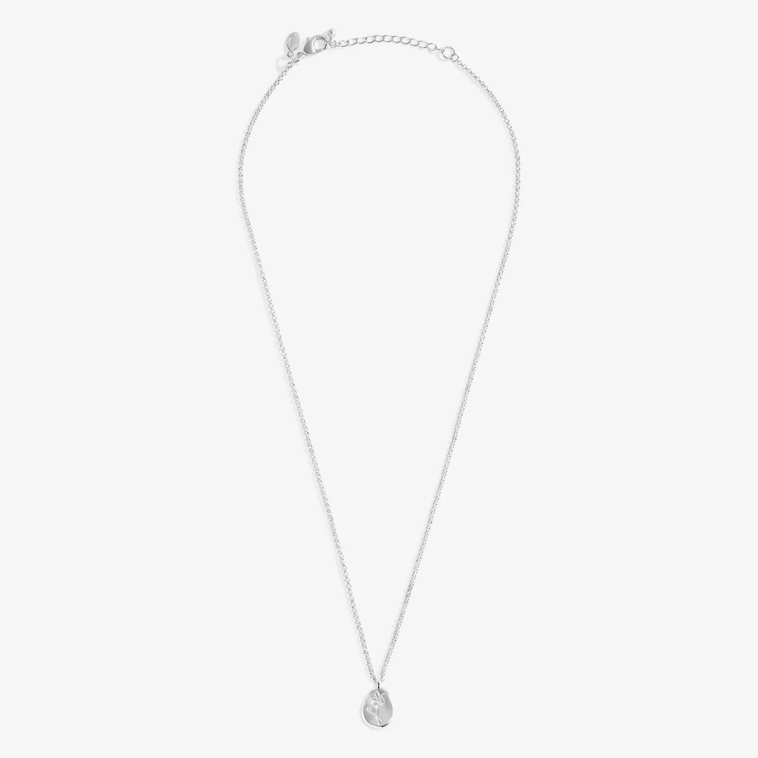 Birth Flower A Little December Narcissus Silver Plated Necklace 7470