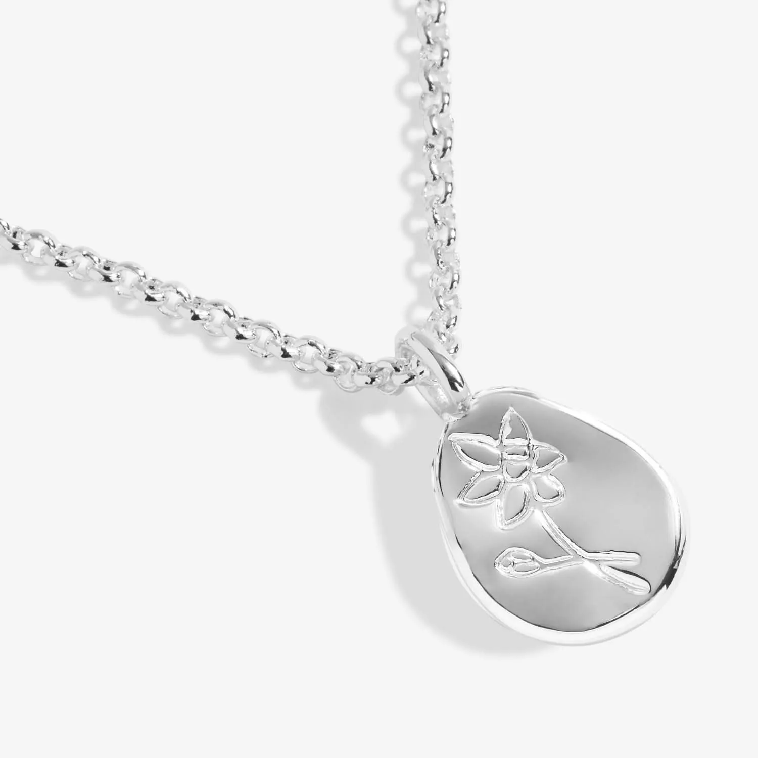 Birth Flower A Little December Narcissus Silver Plated Necklace 7470