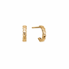 Chlobo Iconics Gold Plated Tiny Multi Star Huggie Hoop Earrings
