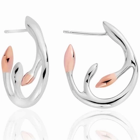 Clogau Tree of Life Eden Silver Earrings
