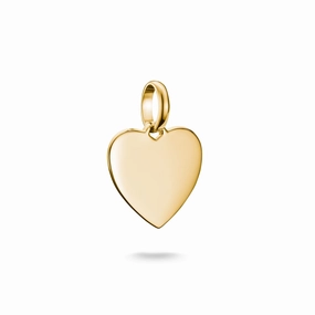 Connect Charm heart Gold