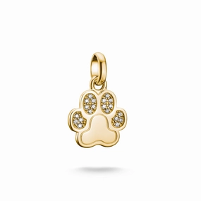 Connect Charm paw Gold
