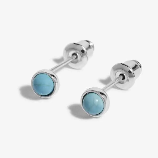 December Birthstone Boxed Earrings 5539