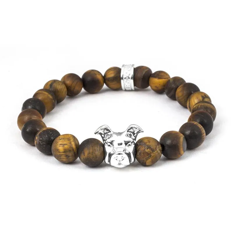 Dog Fever Sterling Silver Tiger's Eye American Staffordshire / Pitbull Bracelet D