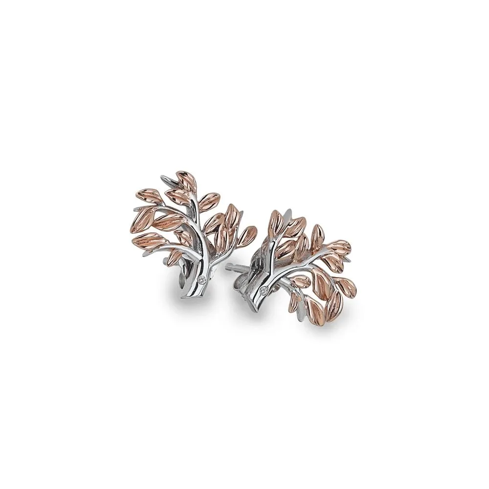 Hot Diamonds Passionate Sterling Silver Rose Gold Plated Earrings D