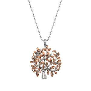 Hot Diamonds Passionate Sterling Silver Rose Gold Plated Necklace D