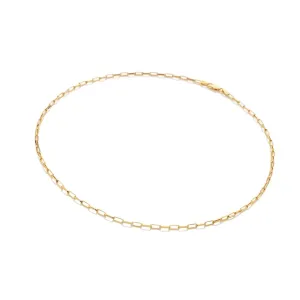 Hot Diamonds x Jac Jossa Embrace Gold Plated Sterling Silver Small Paperclip Chain 40-45cm
