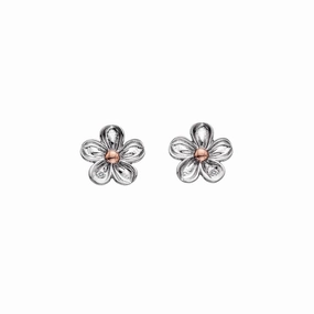 Hot Diamonds Forget Me Not Sterling Silver Flower Stud Earrings