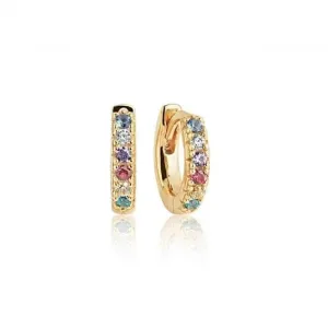 Multicoloured Zirconia Ellera Piccolo Earrings SJ-E1066-XCZ(YG)