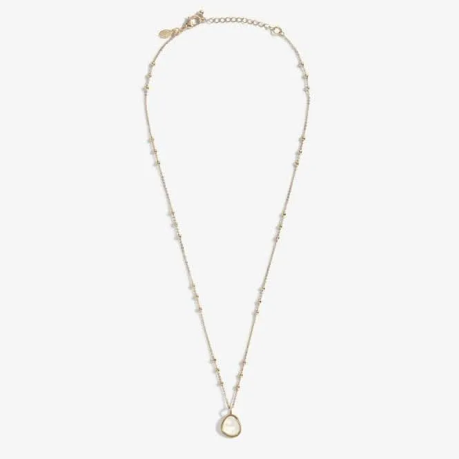 My Moments 'Just For You Beautiful Friend' Necklace 5791