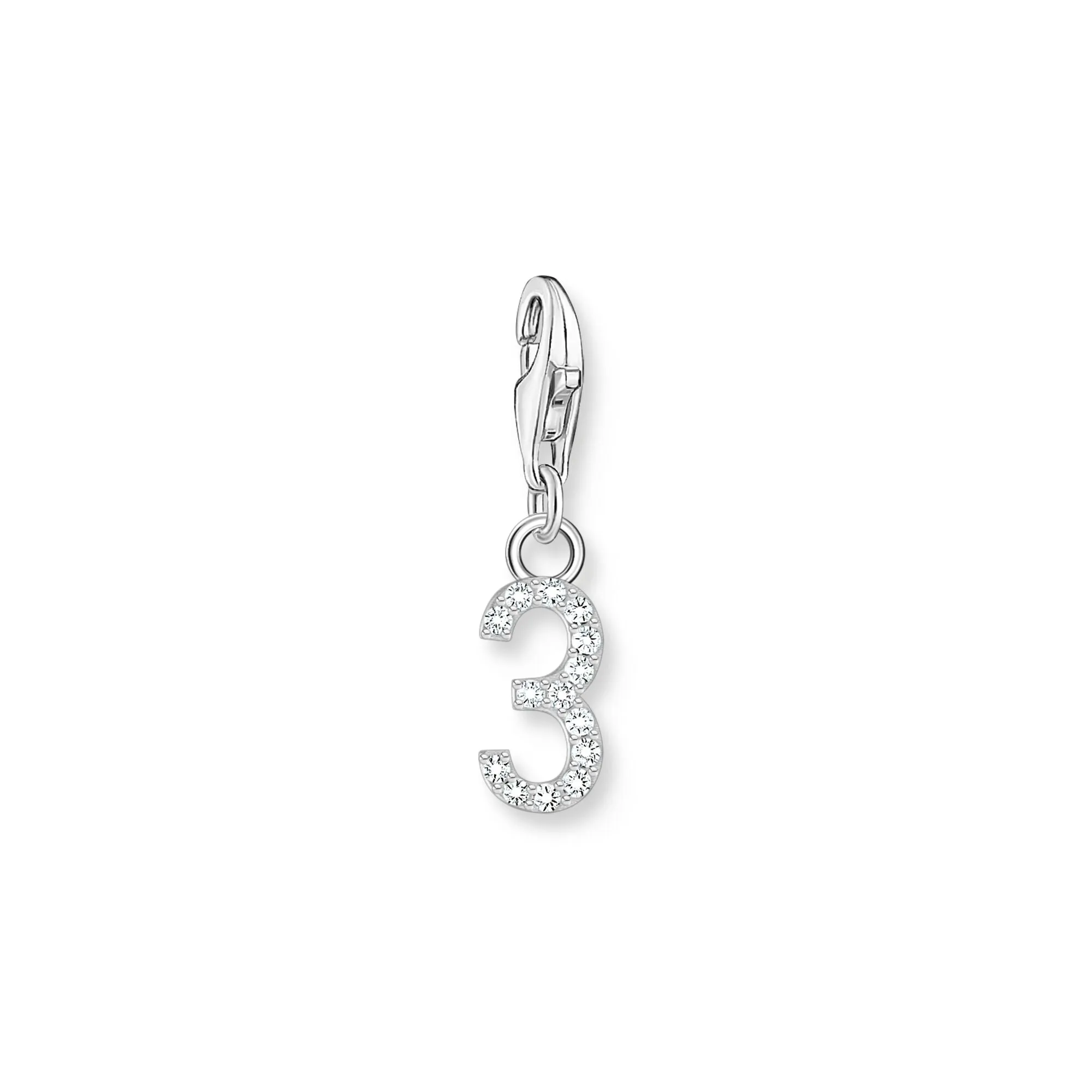 Number 3 silver charm