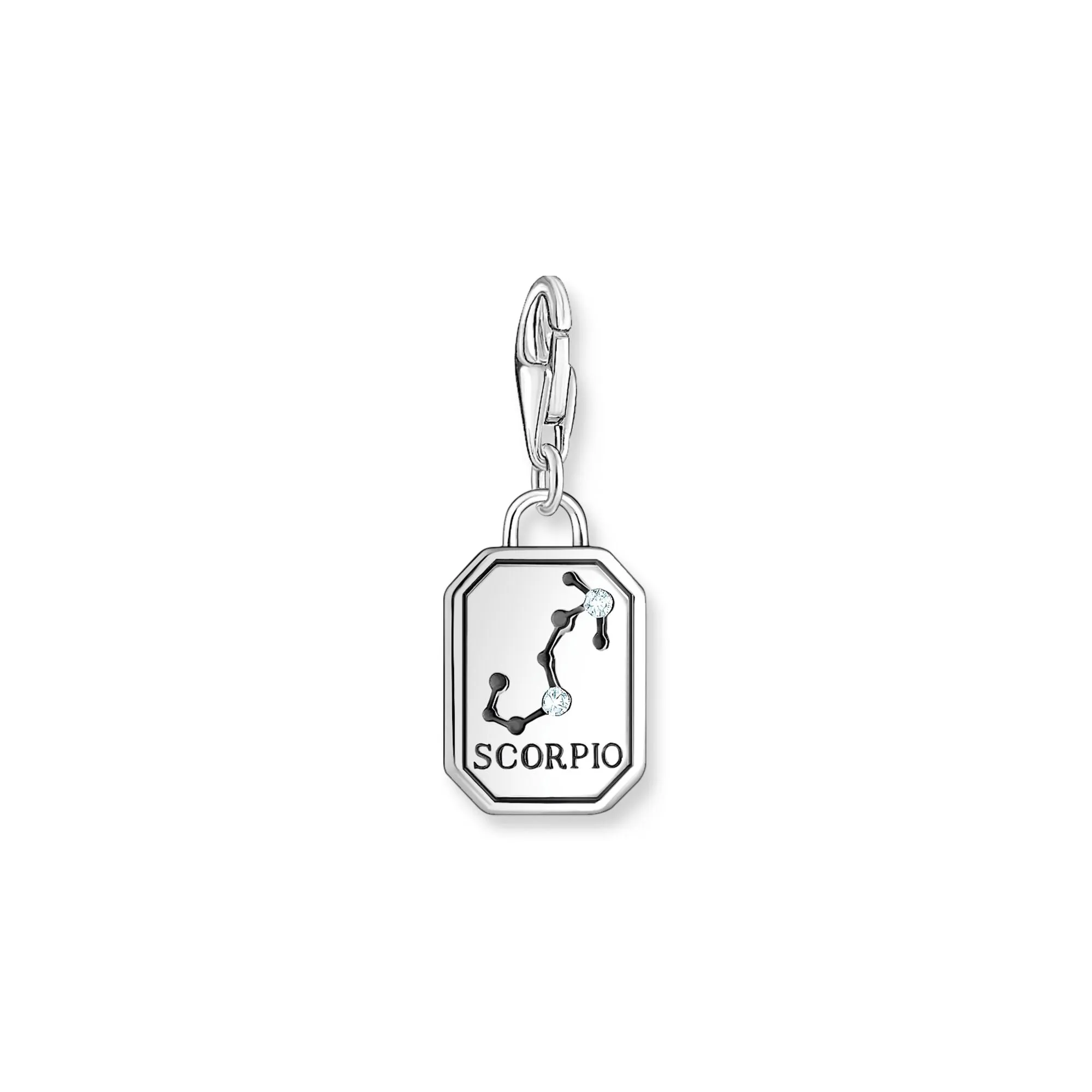 Scorpio Zodiac sign silver charm Pendant
