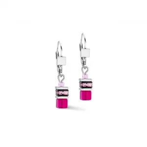 Stainless Steel Magenta Earrings 2800/20-0422