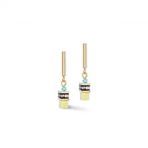 Stainless Steel Multicolour Ear Studs 2801/21-1500