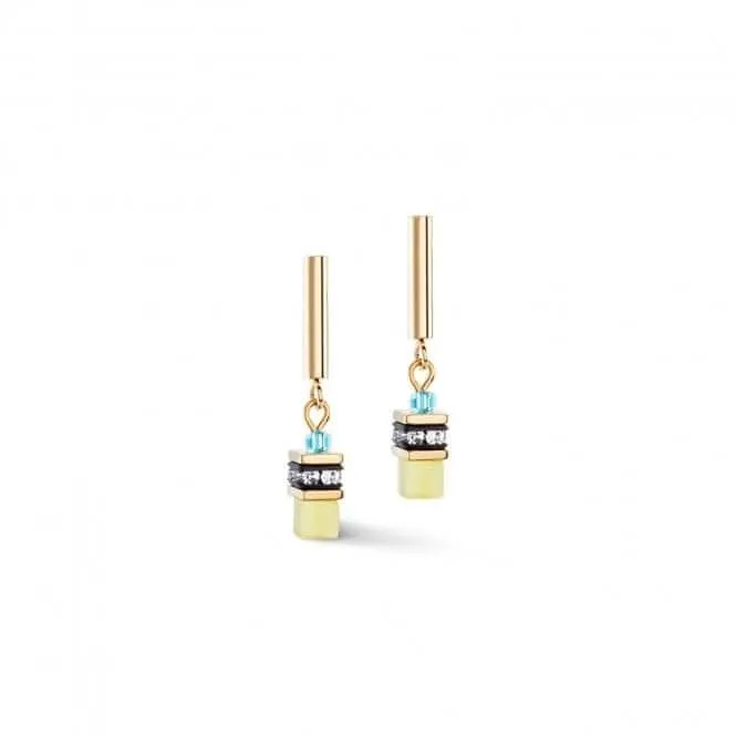 Stainless Steel Multicolour Ear Studs 2801/21-1500