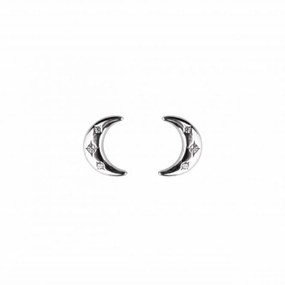Stars in Moon Zirconia Stud Earrings 3443CZ