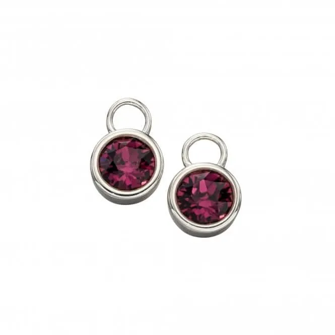 Sterling Silver February Amethyst Swarovski Birthstone Charm Y2650