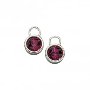 Sterling Silver February Amethyst Swarovski Birthstone Charm Y2650