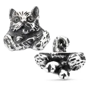 Trollbeads Pendant Fantasy Cat Silver