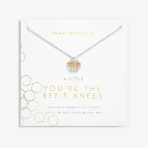 You're The Bees Knees Silver And Gold 46cm   5cm Necklace 6106