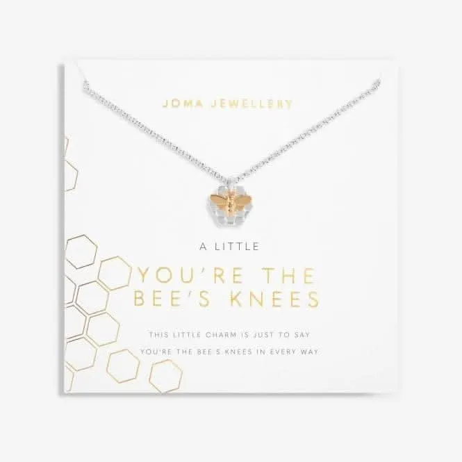 You're The Bees Knees Silver And Gold 46cm   5cm Necklace 6106